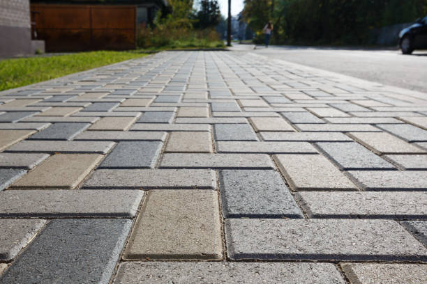 Best Driveway Paving Contractor  in Carle Place, NY