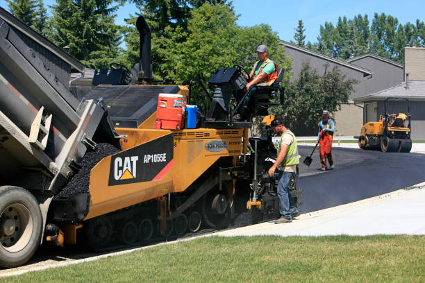 Best Driveway Repair Near Me  in Carle Place, NY